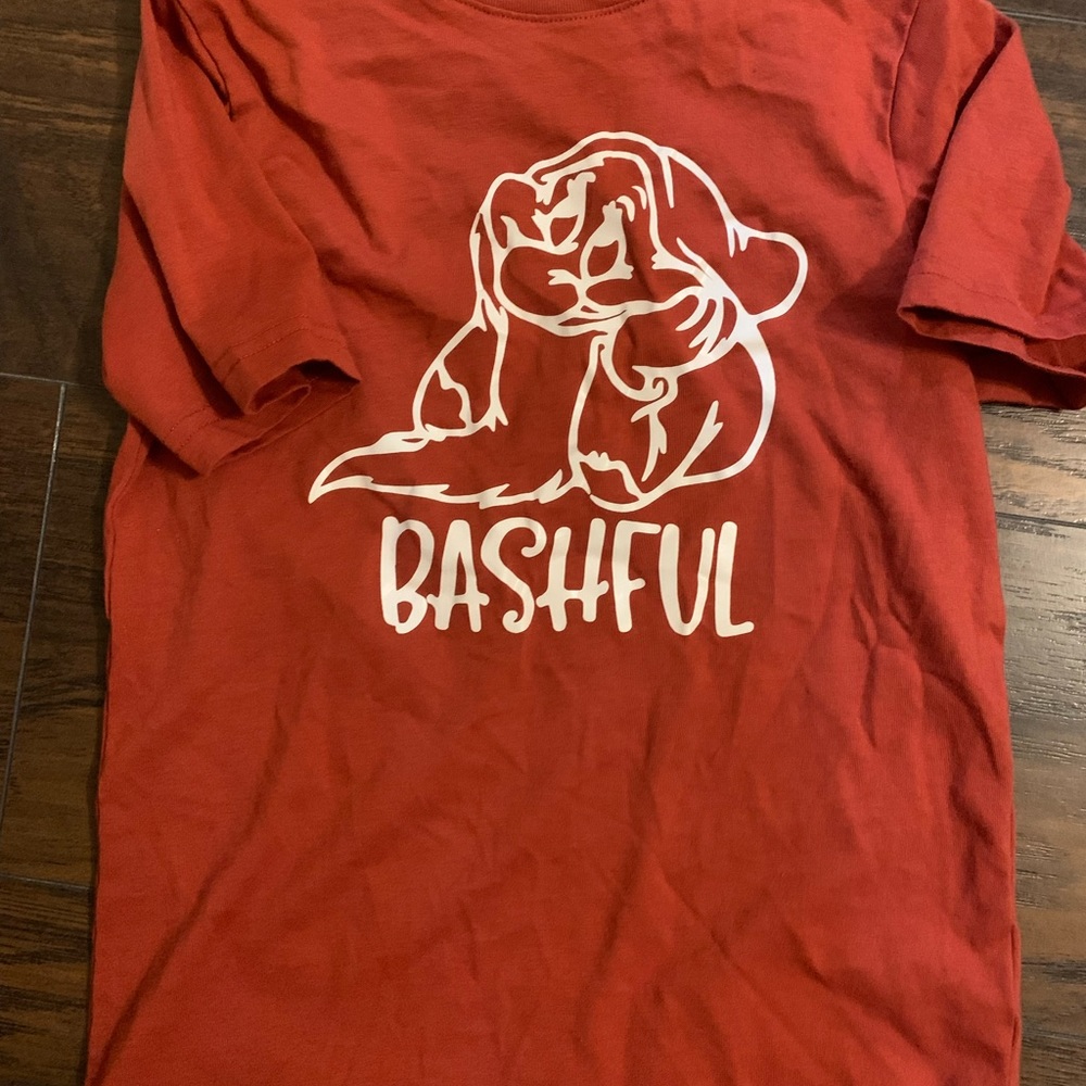 Disney Dwarf Shirt